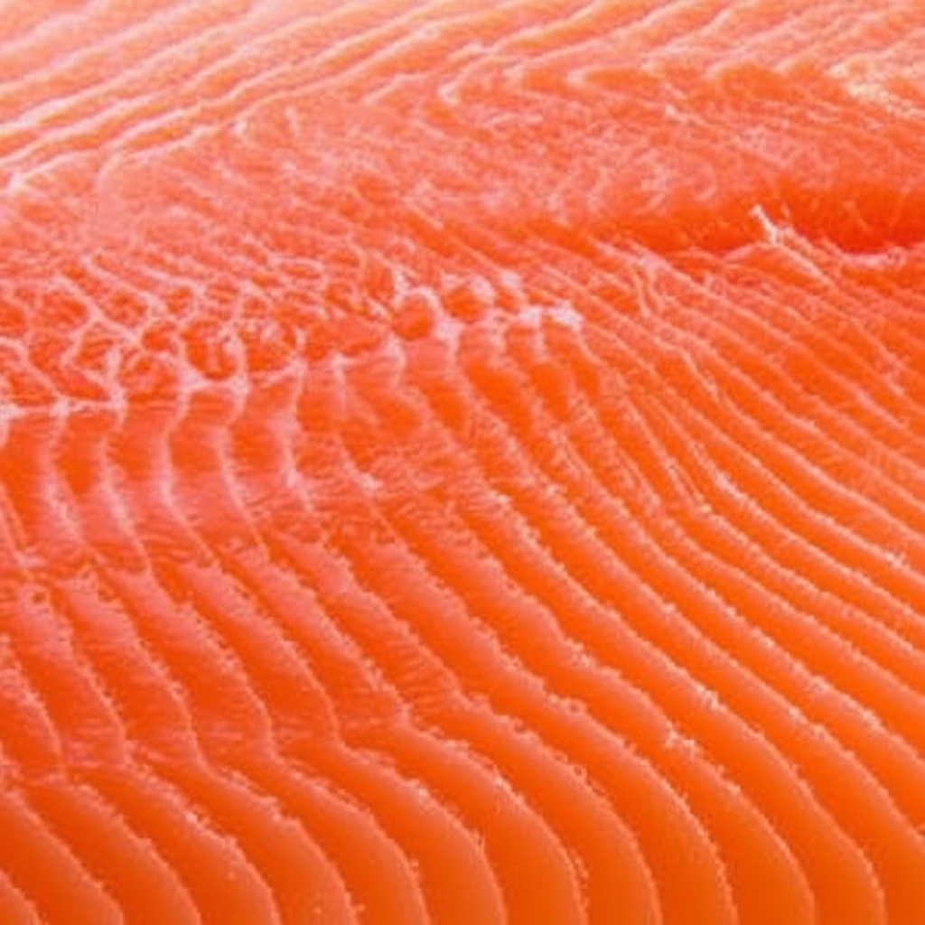 صورة لـ سلمون