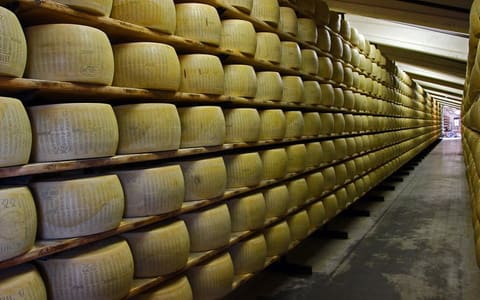 Rows of Parmigiano Reggiano wheels maturing on wooden shelves