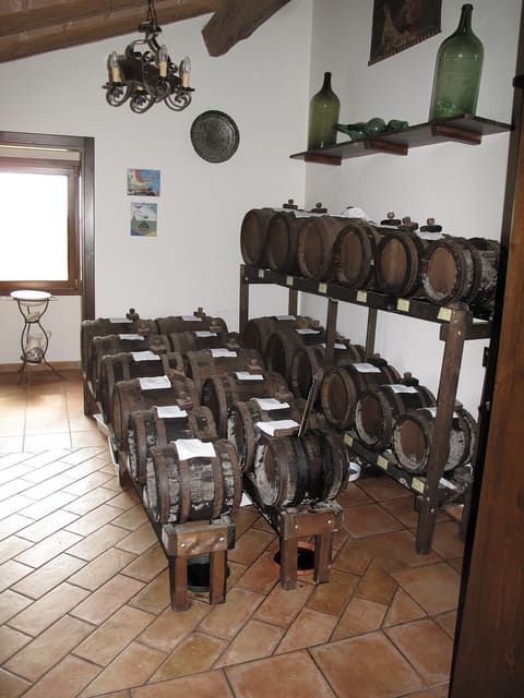 Vinegar / balsamic ageing context