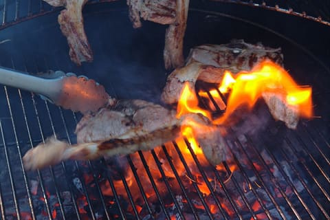 Grilled lamb chops