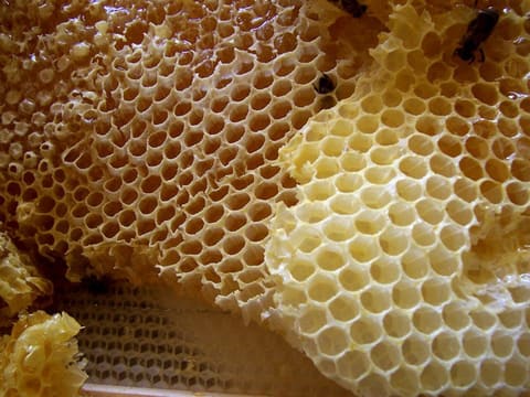 Natural honeycomb with honey