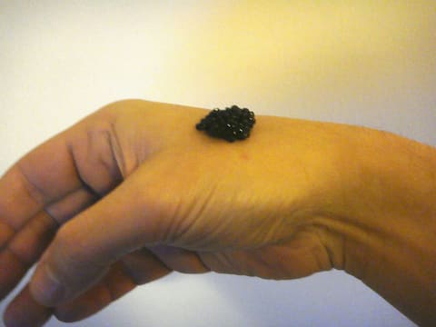 Caviar / fish roe