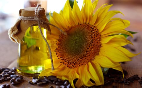 A jar of sunflower oil beside a sunflower head and sunflower seeds