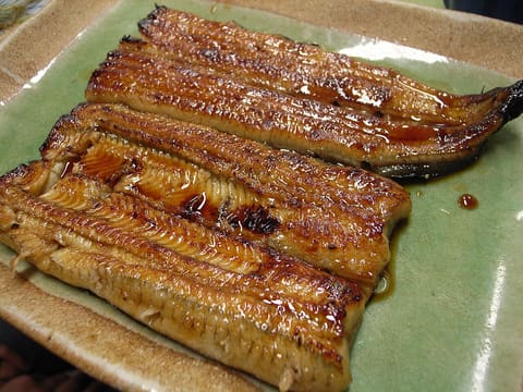 Grilled eel (unagi kabayaki)