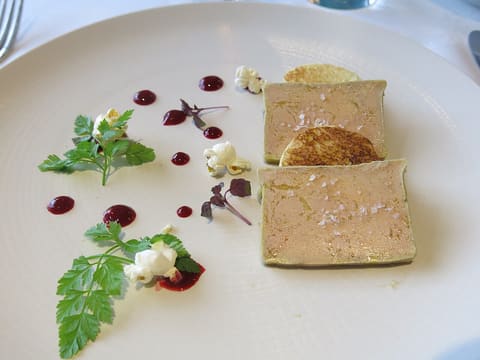 Duck foie gras terrine