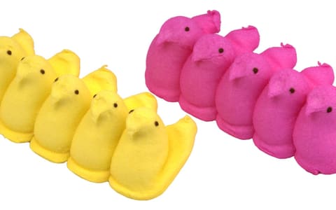 Two rows of yellow and pink Peeps marshmallow chicks