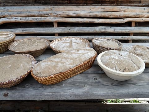 Bread dough rising in proofing baskets