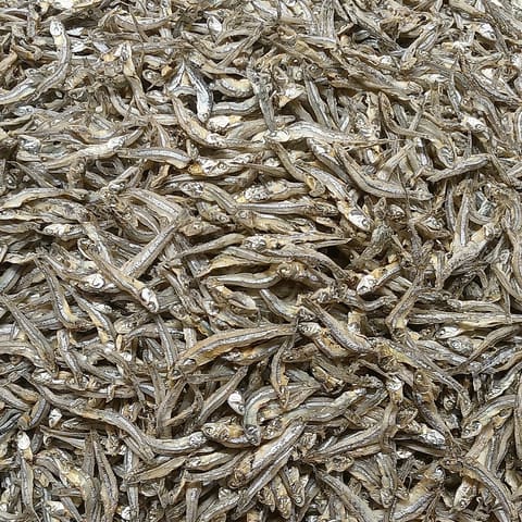 Small oily fish similar to sardines